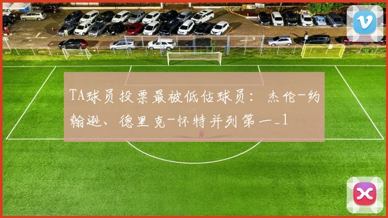 TA球员投票最被低估球员：杰伦-约翰逊、德里克-怀特并列第一_1